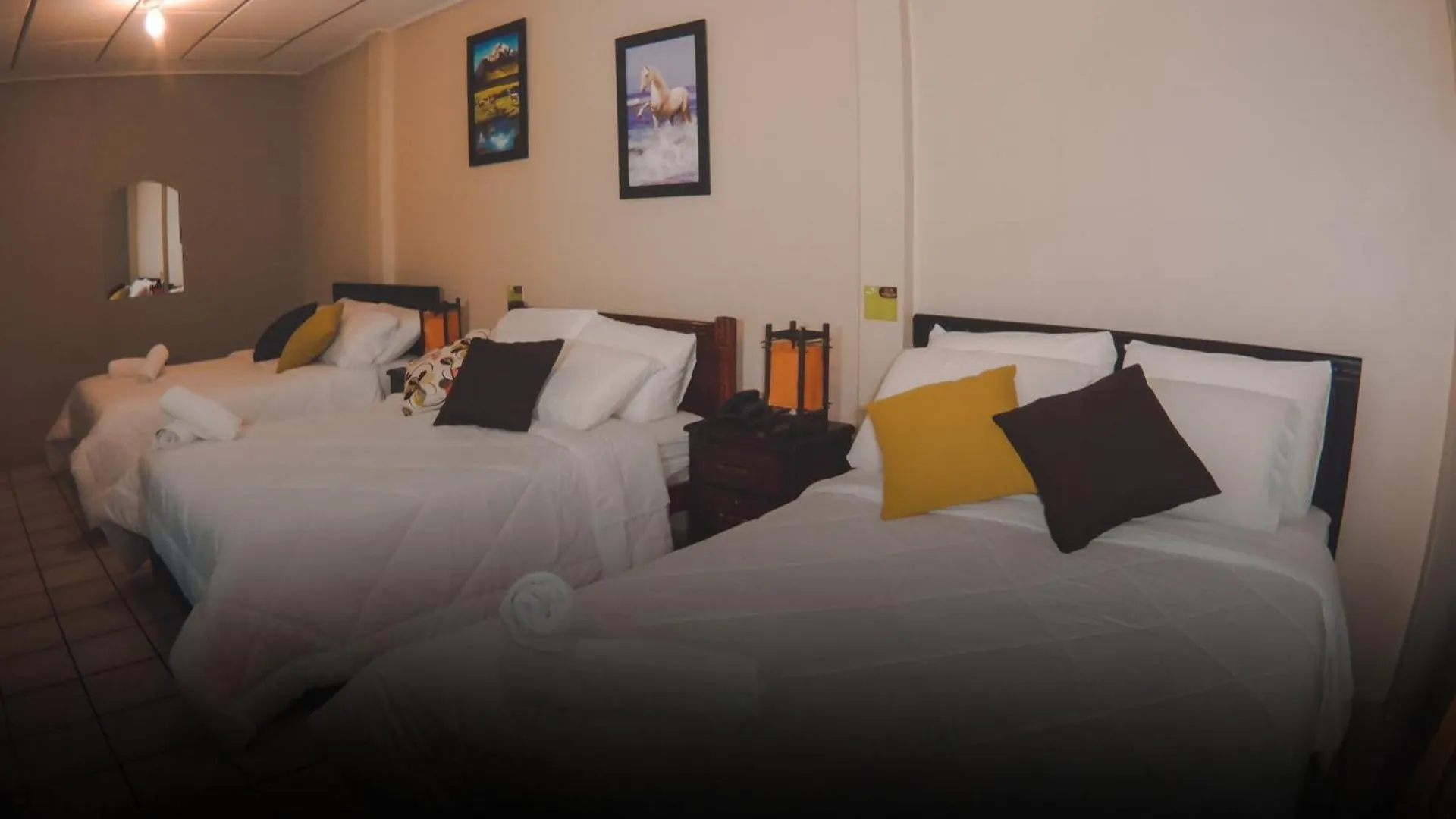 Hotel Gato Mochilero By Chat Noir Cuenca